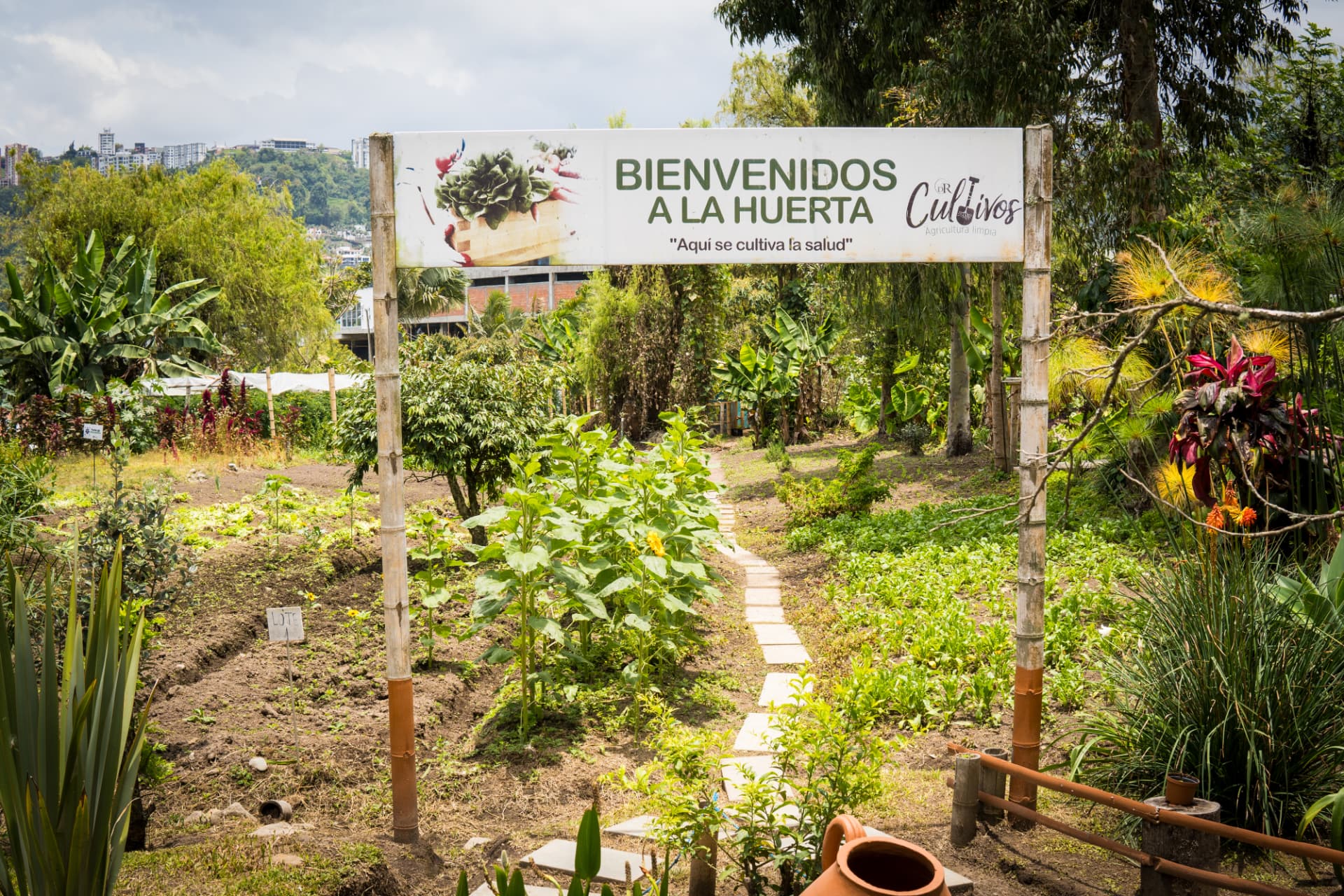 Entrada a la huerta del Parque de la Salud