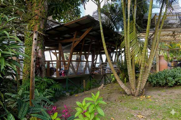 Kiosco entre jardines tropicales