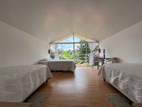 Habitación tipo glamping rodeada de naturaleza