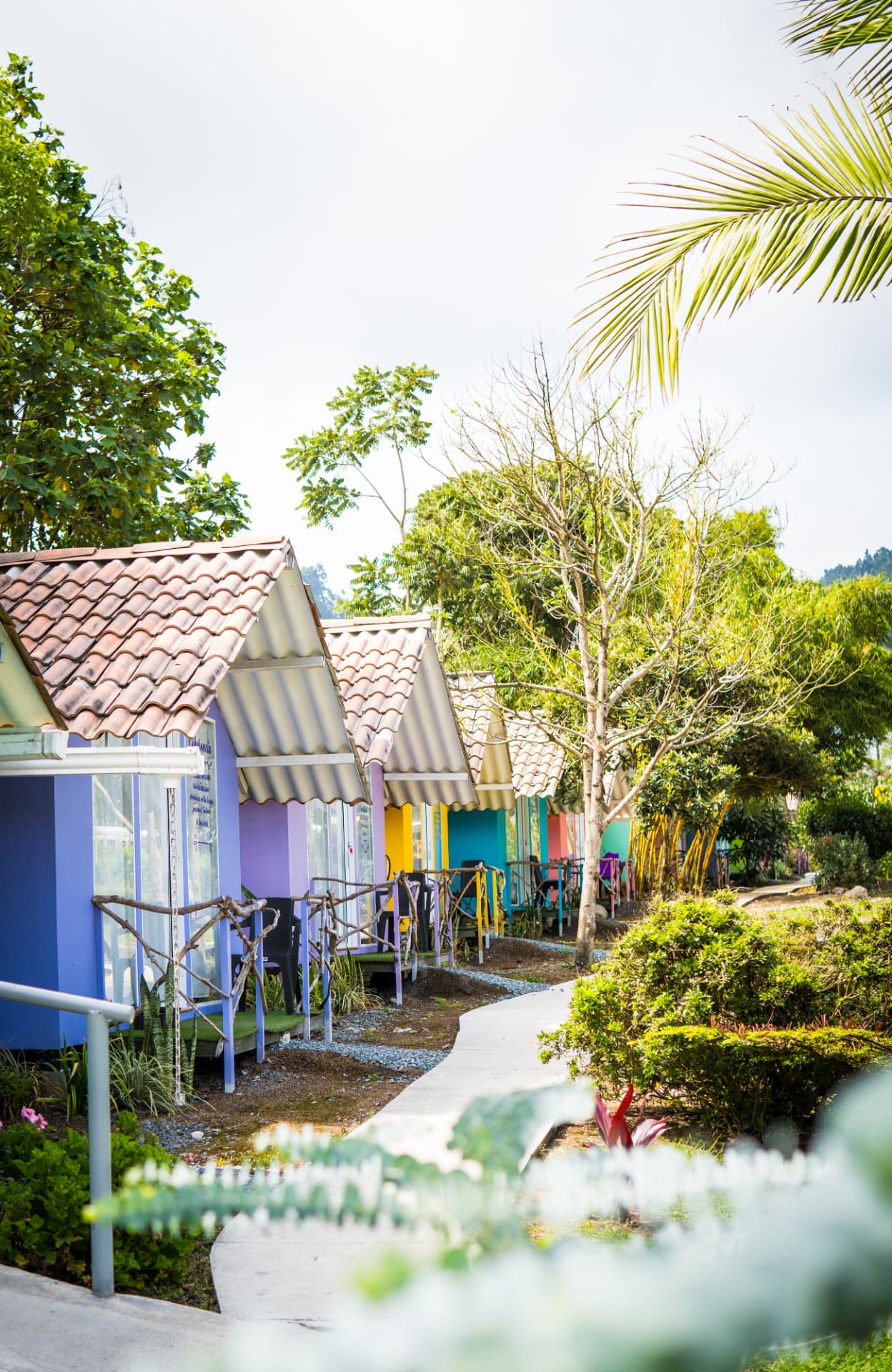 Cabañas de colores entre jardines